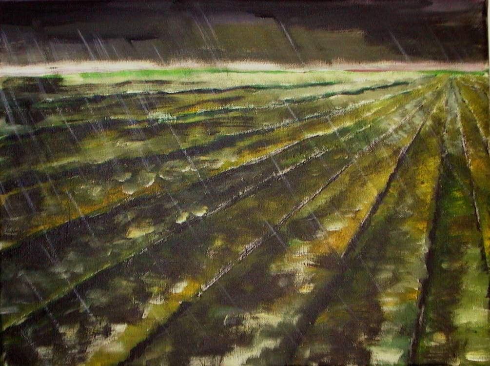 Der Wind weint schon - Small Edition 9-02