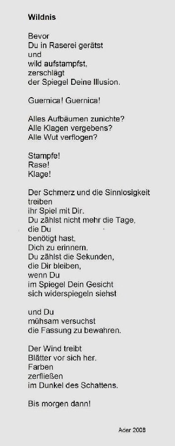 Wildnis I, 2008-Text